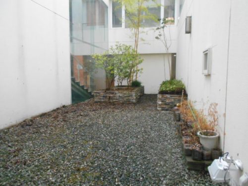 壁沿いの雑草が除去され、もともとの植栽スペースがくっきりと現れました
