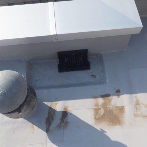 ゴミが溜まっていれば掃除します