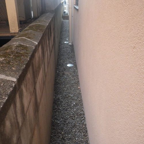 除草しました！